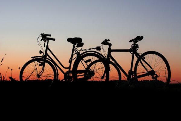 Fiets
